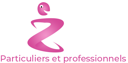 Logo LES Z À DOM